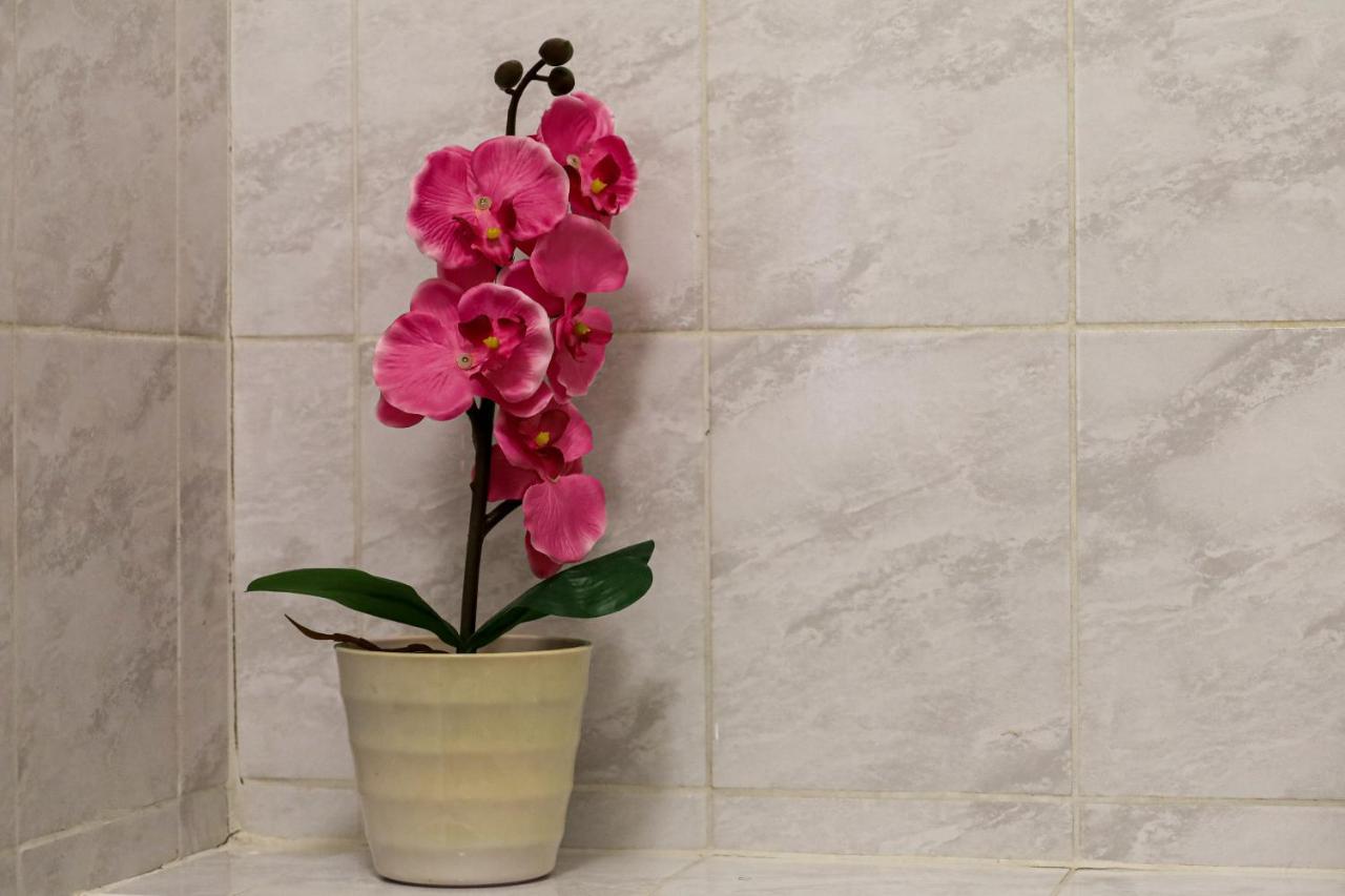 Garden-Eden Apartment Wina Bagian luar foto